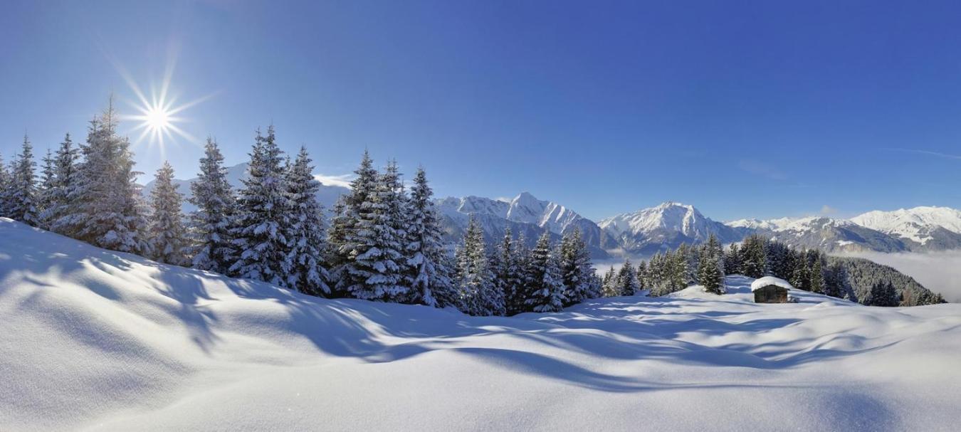 Hotel Brixnerhof Im Zillertal à Schlitters Extérieur photo